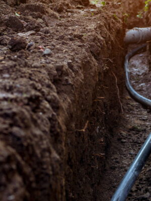 HOME - hero image(1) HOME - hero image(1)